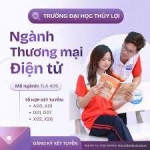 Ngành Thương Mại Điện Tử tại Đại Học Thủy Lợi – Chương Trình Đào Tạo, Cơ Hội Việc Làm và Tuyển Sinh 2025